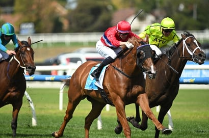 Australasian Oaks 2025 Betting Odds - Movin Out shades Benagil