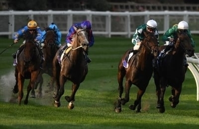 Sale Racing Tips for September 13 – Crocodile to rock in Race 8