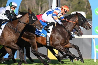 Sandown