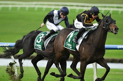 Sandown Lakeside
