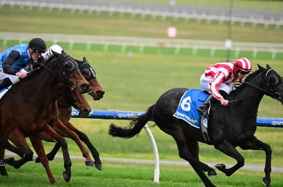 Sandown Racing Tips for August 13- Planet Red to continue perfect start to career