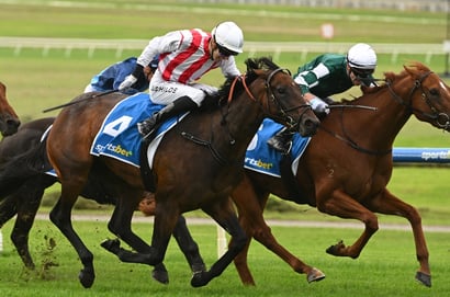 Sandown Melbourne