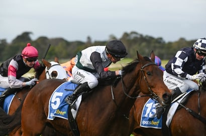 Sandown Melbourne