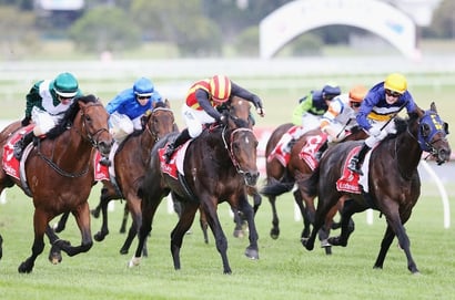Sandown Tips for 01.02.2025