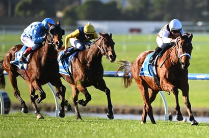 Sandown Tips for 01.06.2025
