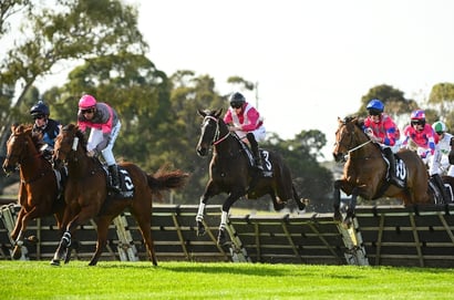 Sandown Tips for 03.08.2025