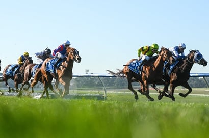 Sandown Tips for 05.02.2025