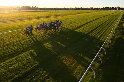 Sandown Tips for 19.03.2025