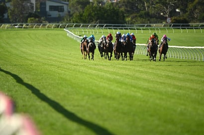 Sandown Tips for 21.05.2025