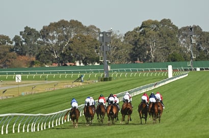 Sandown Tips for 24.05.2025