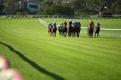 Sandown Tips for 26.03.2025