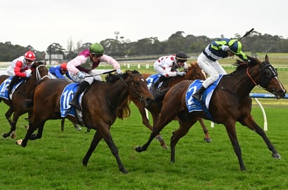 Sandown Tips for 30.07.2025