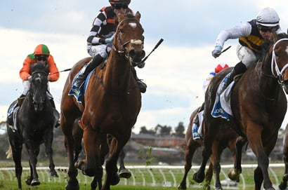 Sandown racecourse