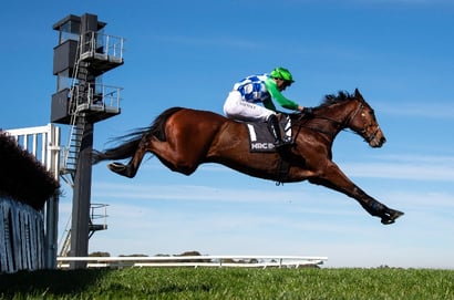 Sandown tips - 02/08