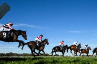 Sandown tips - 31/05