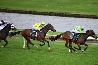 Sandown tips for 01.07.2026