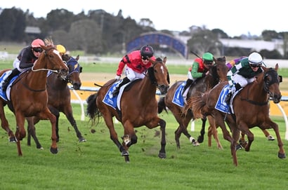 Sandown tips for 21/01