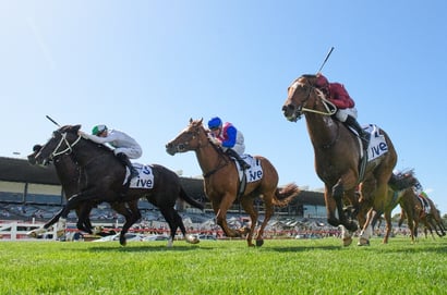 Sandown tips for 22.08.2026