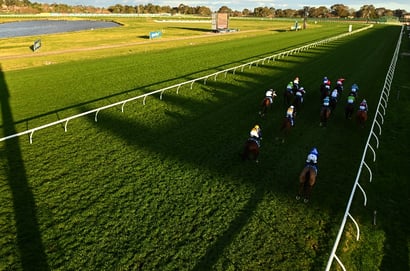 Sandown tips for 23.05.2026