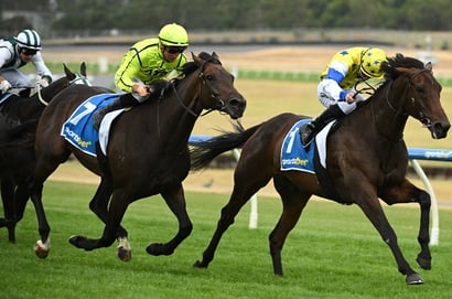 Sandown tips for 29.07.2026