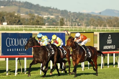 Scone Horse Racing