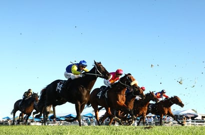 Scone Horse Racing