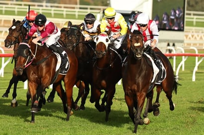 Scone Horse Racing