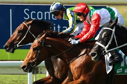 Scone Horse Racing