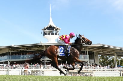Scone Horse Racing