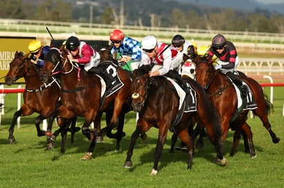 Scone Horse Racing