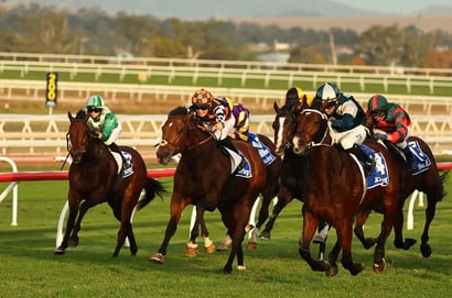 Scone Horse Racing
