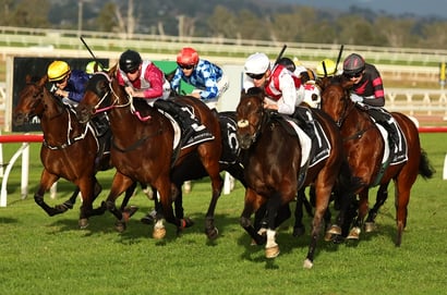 Scone Horse Racing