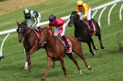Seymour tips - 11/10