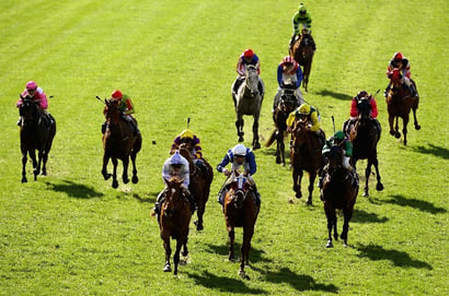 Seymour tips - 19/07