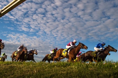 Seymour tips - 21/05