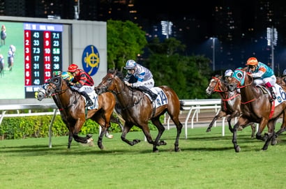 Sha Tin Horse Racing