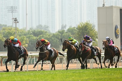 Sha Tin Horse Racing
