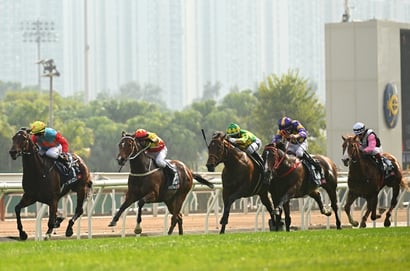 Sha Tin Horse Racing