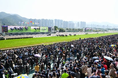 Sha Tin Horse Racing