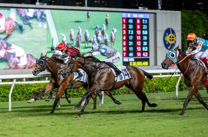 Sha Tin Horse Racing