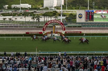 Sha Tin Horse Racing