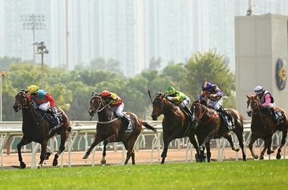 Sha Tin Horse Racing