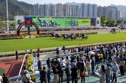 Sha Tin Horse Racing