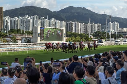 Sha Tin Horse Racing