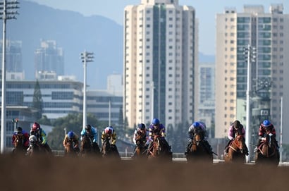 Sha Tin Tips for 12.02.2025