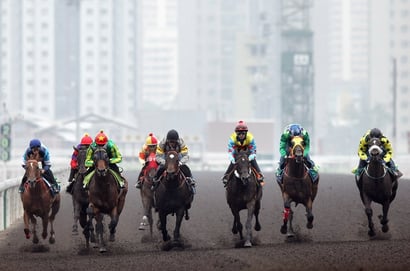 Sha Tin Betting Tips for January 21, 2026 - California Star Can Launch Under Purton