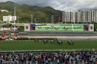 Sha Tin tips for 01/10