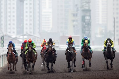 Sha Tin Betting Tips for May 6, 2026 - Bull Attitude Opens the Quaddie