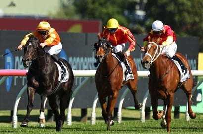 Spring Champion Stakes Tips - Shangri La Boy the one to beat in Group 1 for the three-year-olds at Randwick