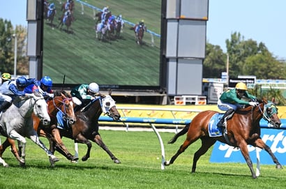 Caulfield Blackbookers February 21 – Horses to follow from Caulfield on February 21